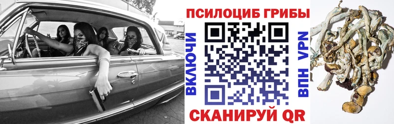 Галлюциногенные грибы ЛСД  Купить где  Рассказово 